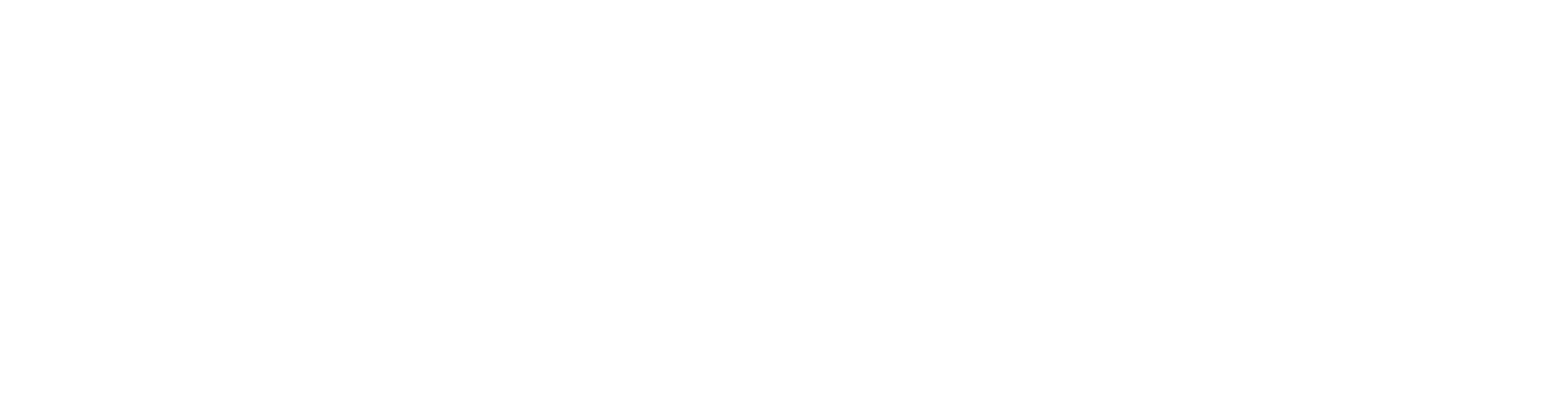 LEXI_Experts_Intelligence_rechteck_white_PNG